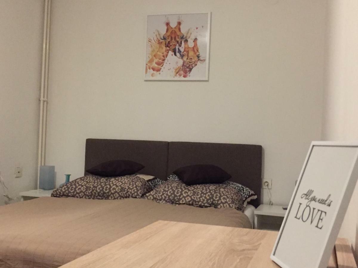 Apartment 카를로바츠 외부 사진